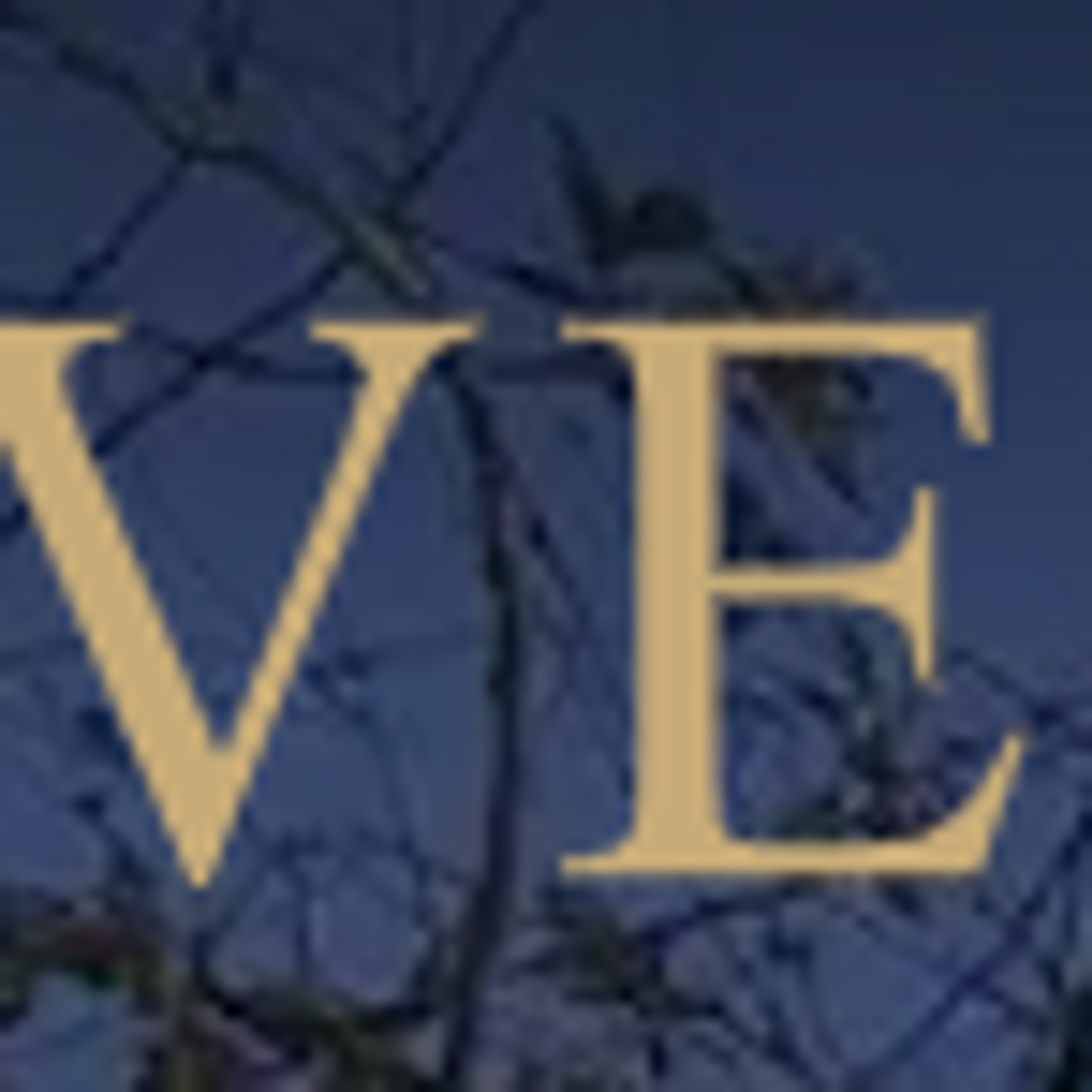 verdehomesau