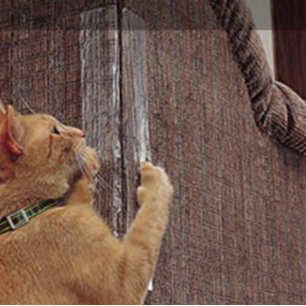 Reflectivepet