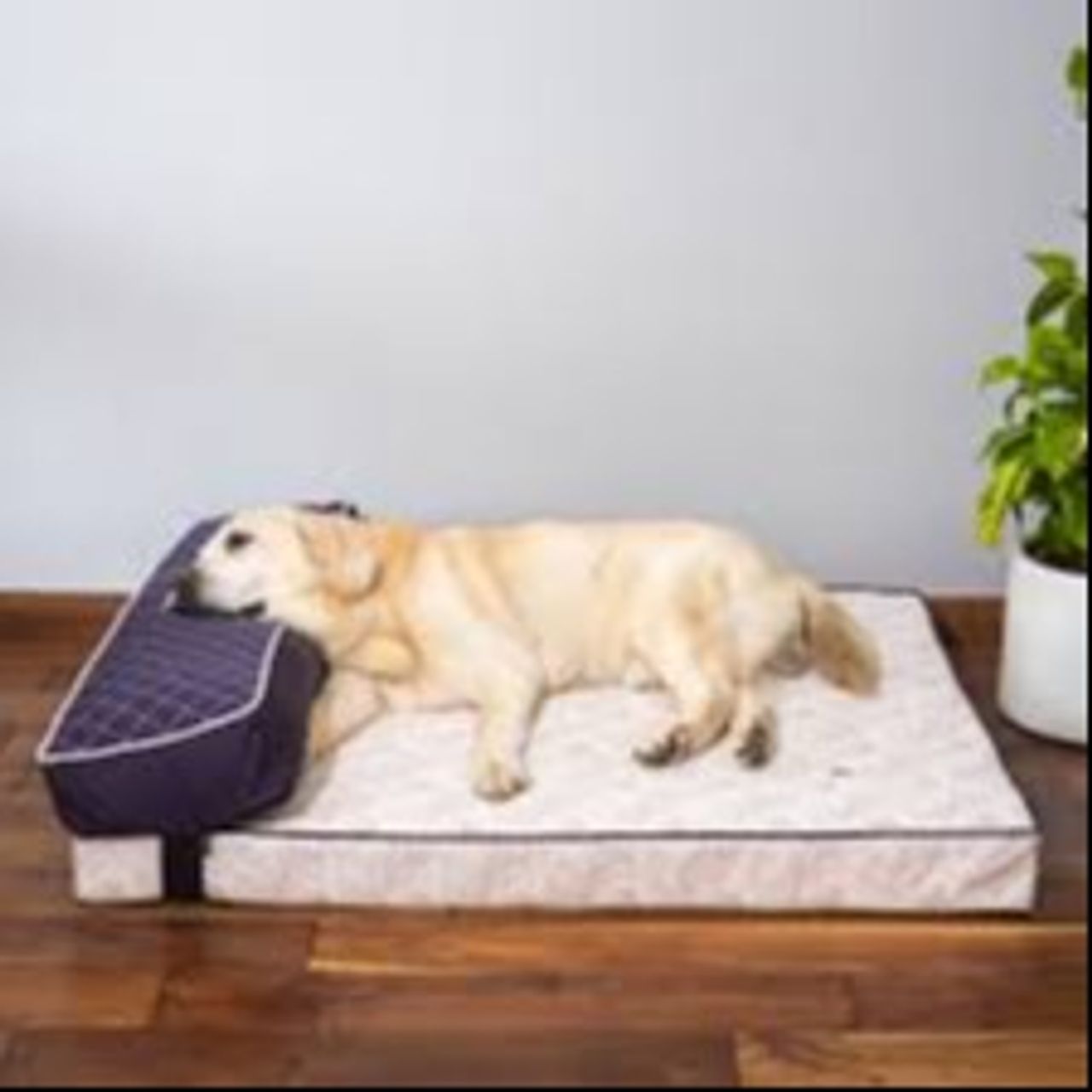 Personalizedpet