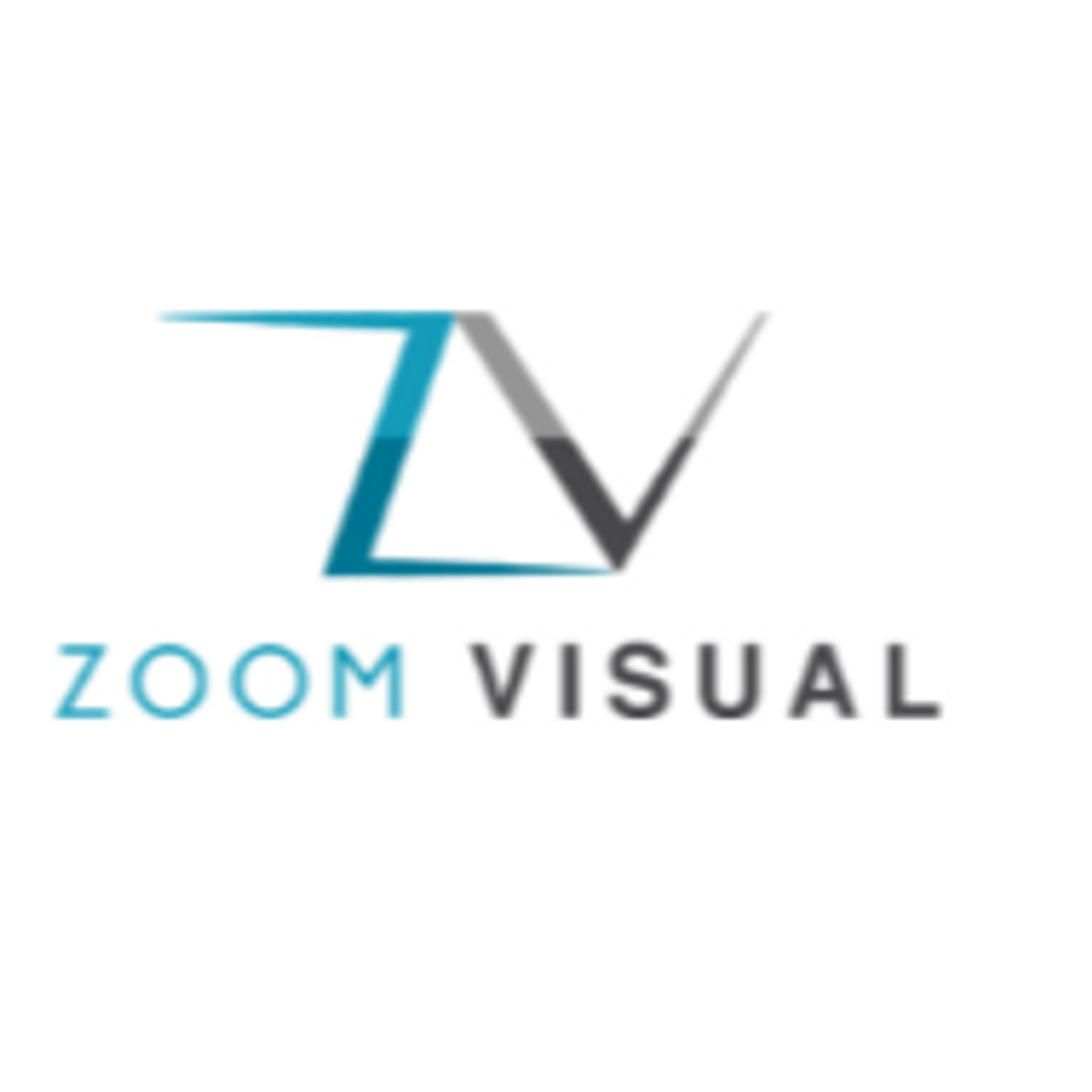 zoomvisualleddis