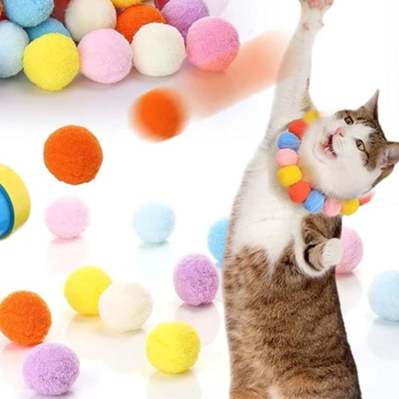 Pettoys