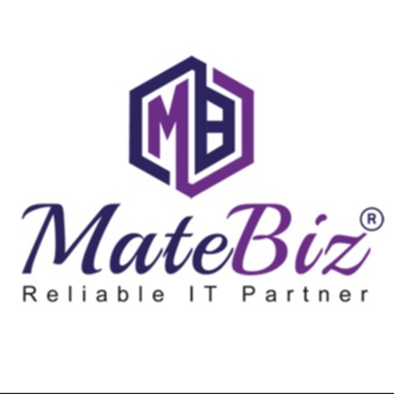 matebizpvtltd01