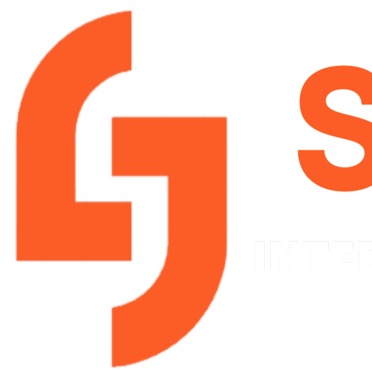 seo company in