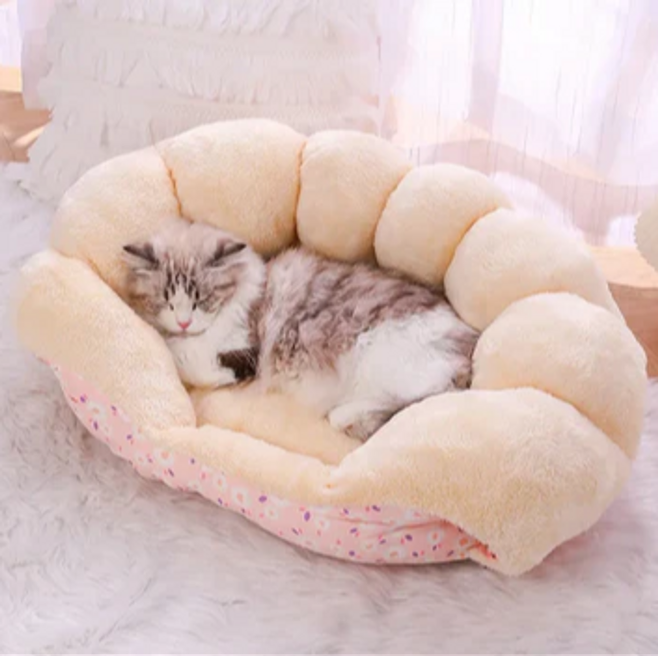 Catbed