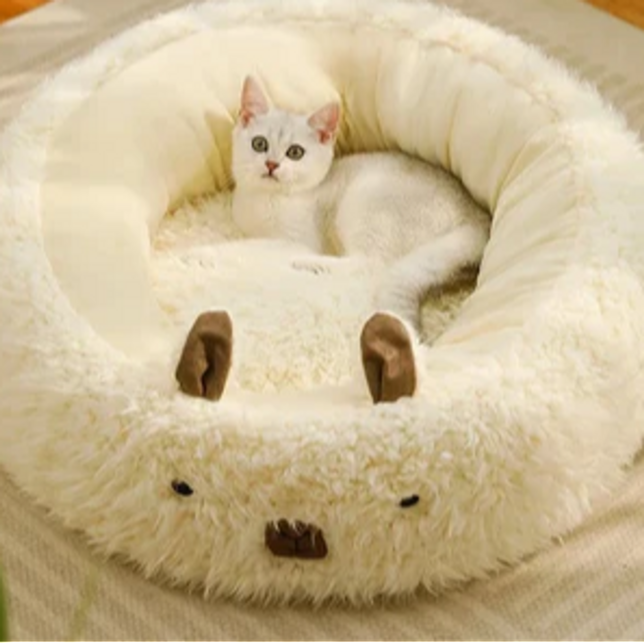 CatBed5