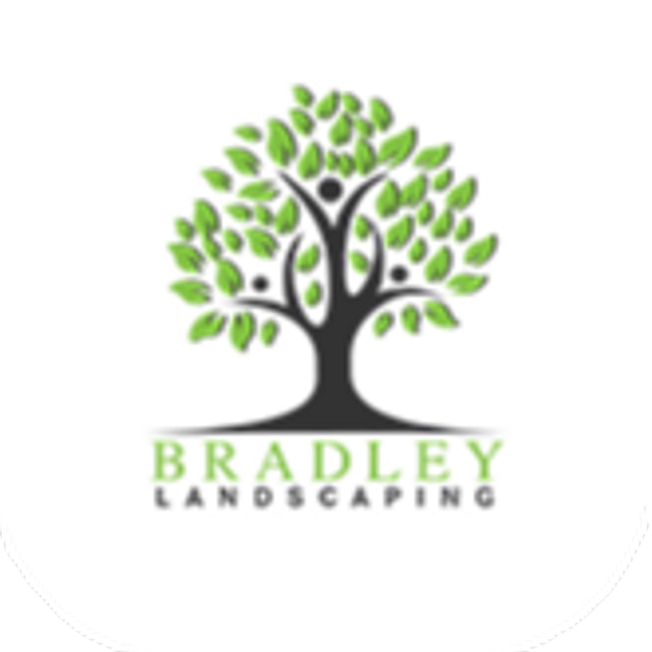 bradley