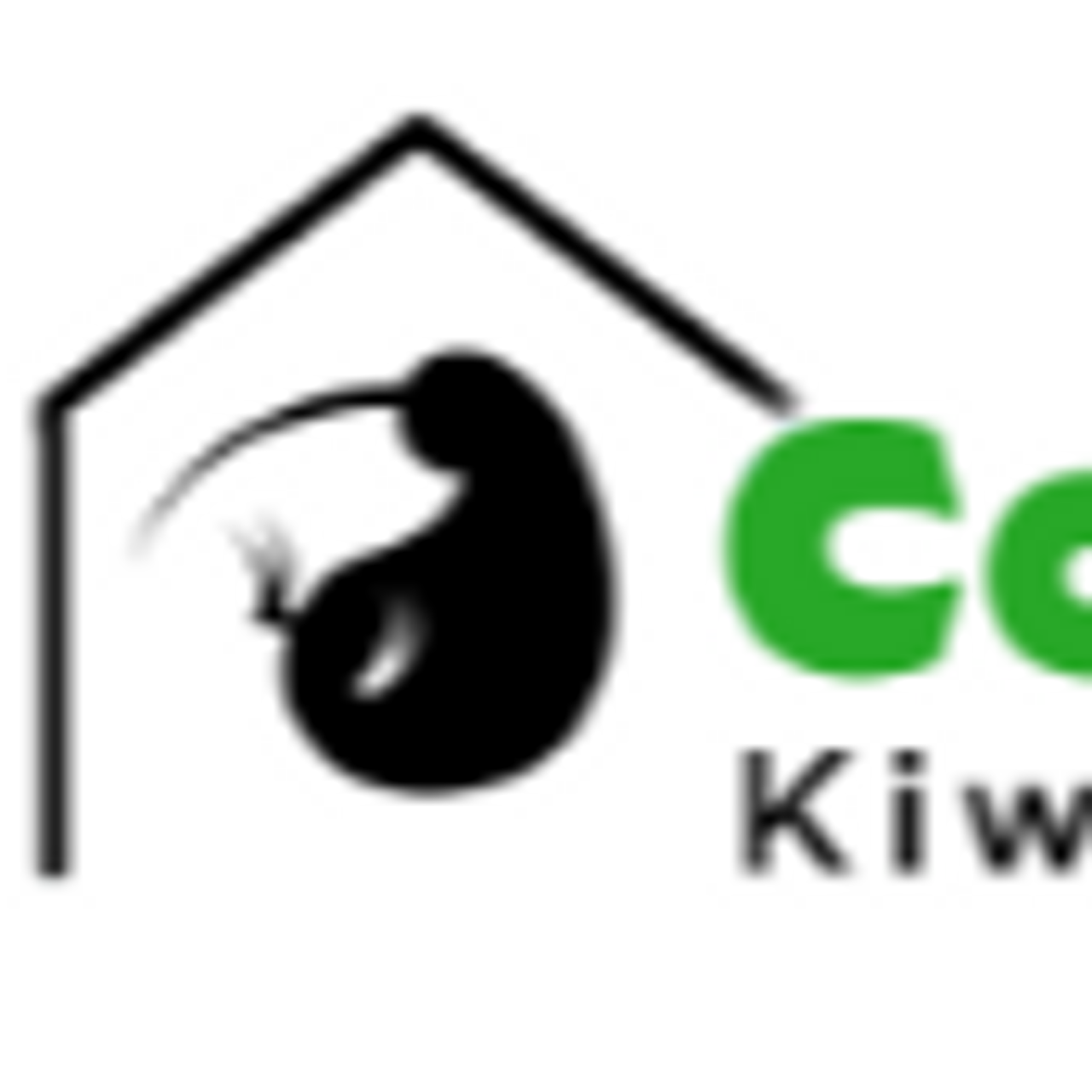 ComfyKiwiHomes