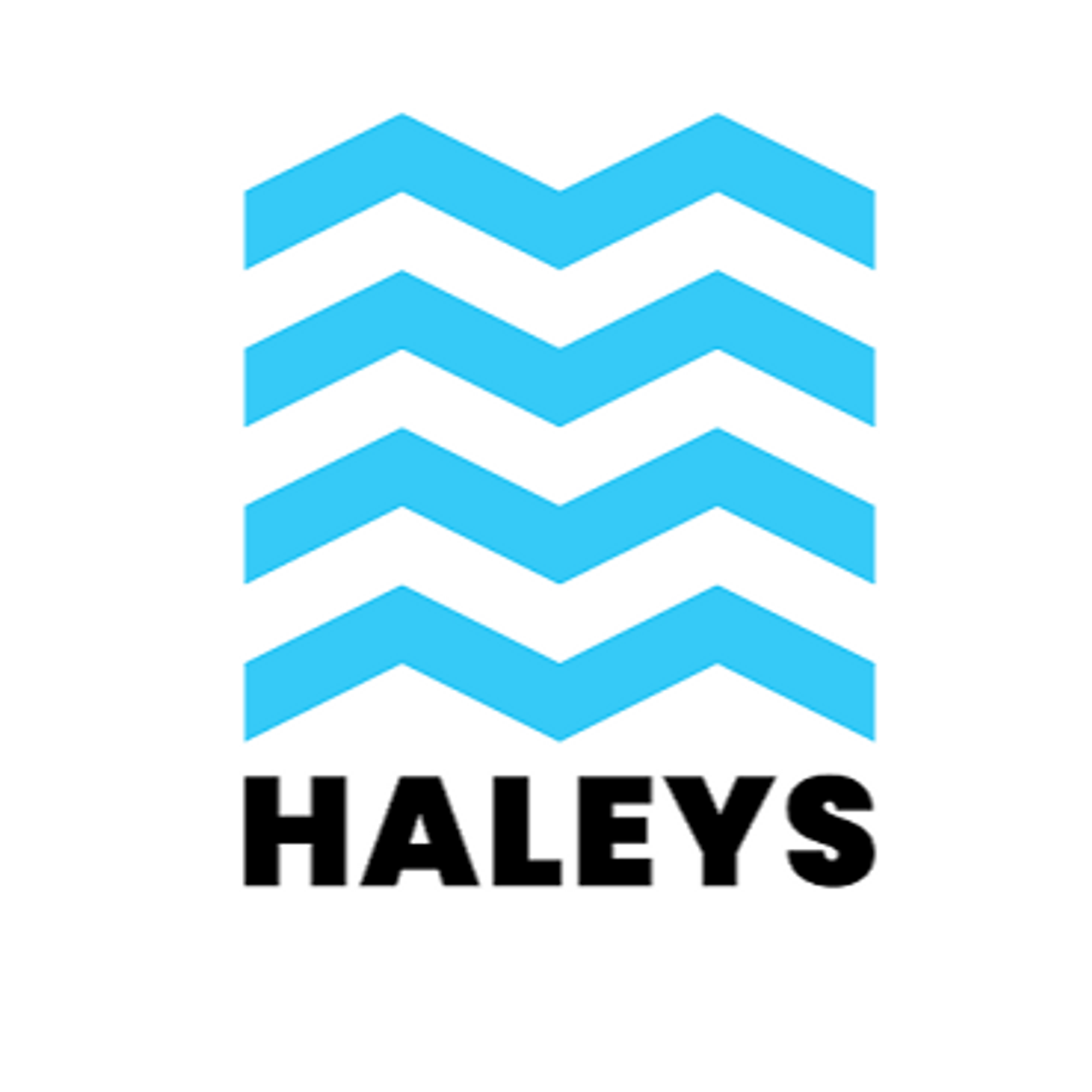 HALEYS Group