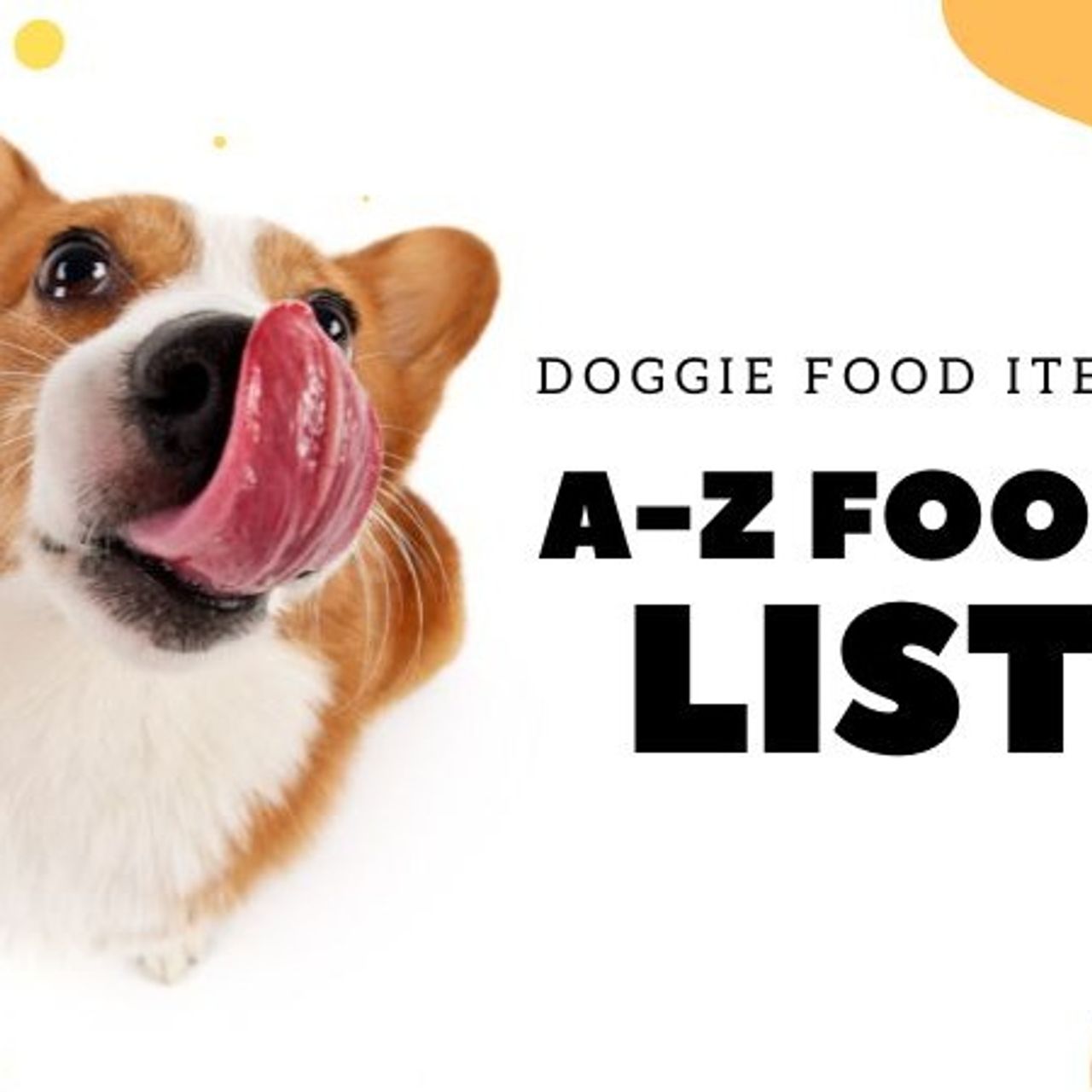 doggiefoods