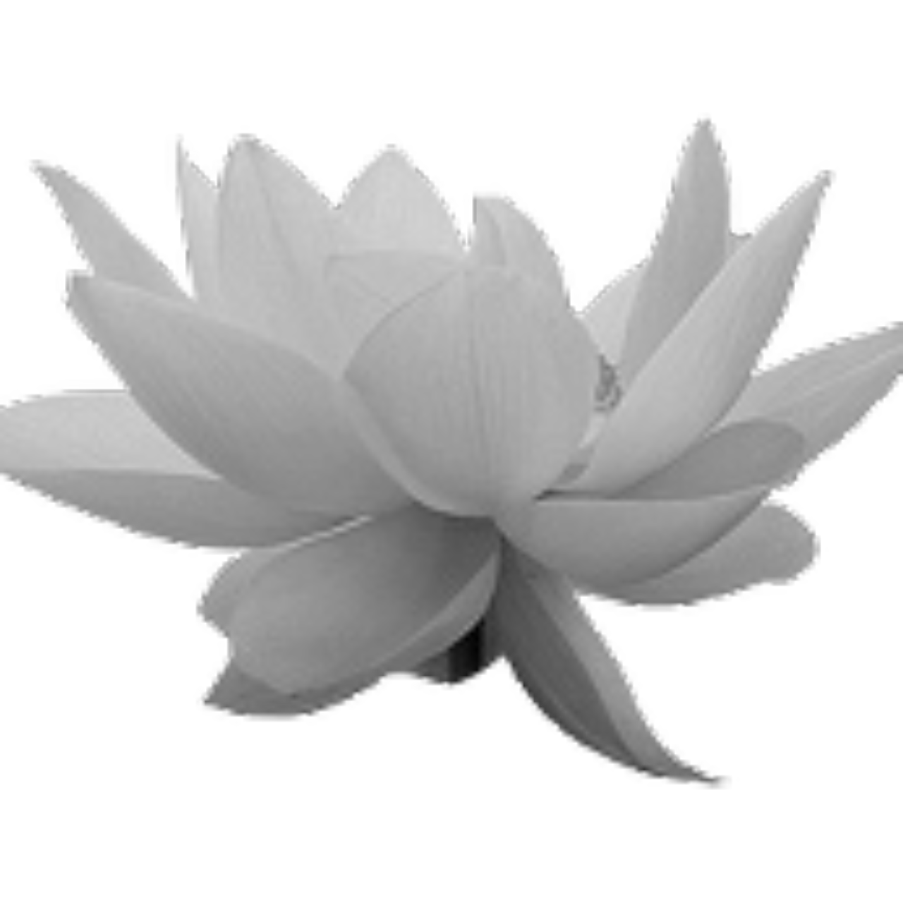 ShadowLotus